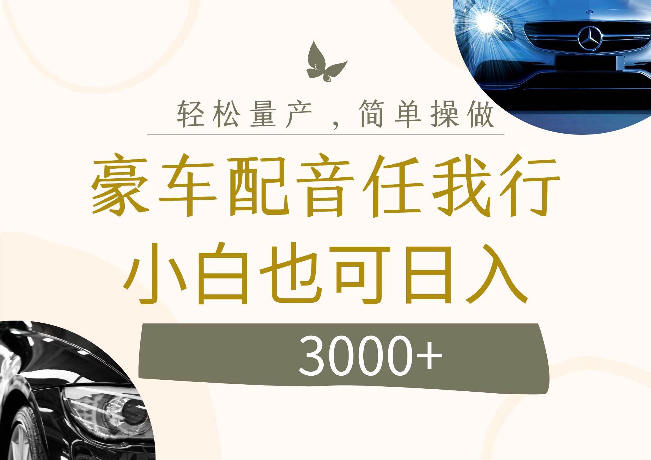 不为人知的暴力小项目，豪车配音，日入3000+-云阁资源网