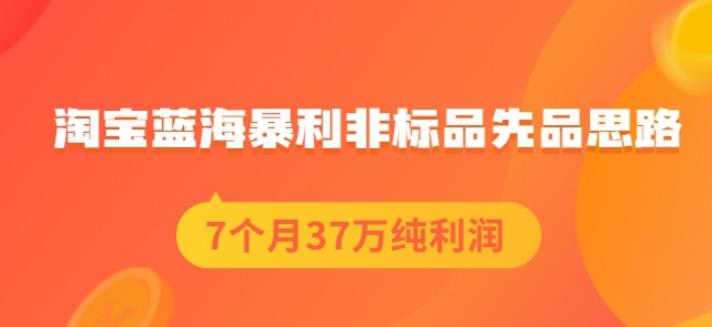 盗坤淘宝蓝海暴利非标品先品思路，7个月37万纯利润，压箱干货分享！【付费文章】-云阁资源网