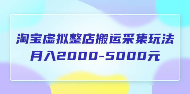 淘宝虚拟整店搬运采集玩法分享课：月入2000-5000元（5节课）-云阁资源网