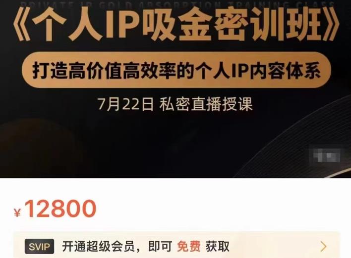 个人IP吸金密训班，打造高价值高效率的个人IP内容体系（价值12800元）-云阁资源网