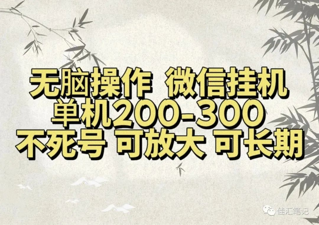 无脑操作微信视频号挂机单机200-300一天，不死号，可放大，工作室实测-云阁资源网