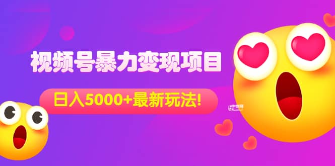 外面收费699的视频号暴力变现项目，日入5000+，简单易操作当天见效果-云阁资源网