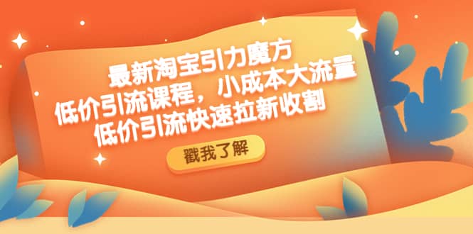 最新淘宝引力魔方低价引流实操：小成本大流量-云阁资源网