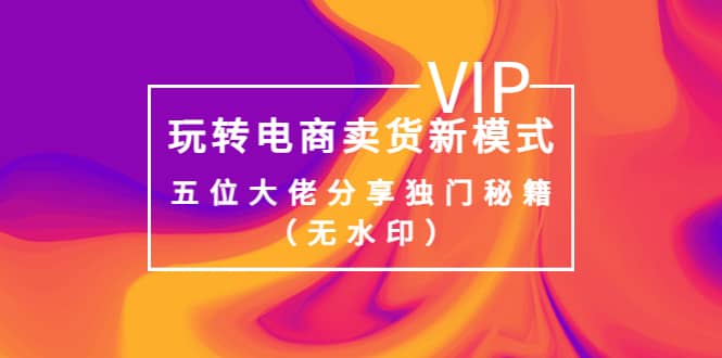 某收费培训：玩转电商卖货新模式，五位大佬分享独门秘籍（无水印）-云阁资源网