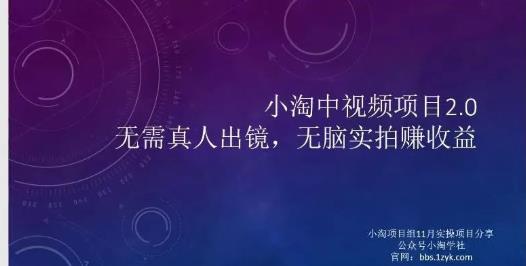 小淘项目组网赚永久会员，绝对是具有实操价值的，适合有项目做需要流程【持续更新】-云阁资源网