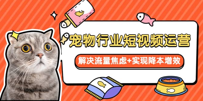 宠物/行业短视频运营 流量增长的一层窗户纸 解决流量焦虑+实现降本增效-云阁资源网