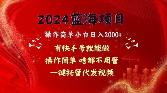 2024蓝海项目，网盘拉新，操作简单小白日入2000+，一键托管代发视频，…-云阁资源网