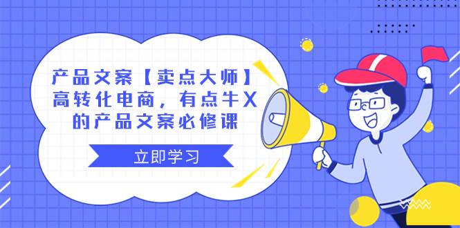 产品文案【卖点大师】高转化电商，有点牛X的 产品文案必修课-云阁资源网