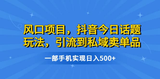 风口项目，抖音今日话题玩法，引流到私域卖单品，一部手机实现日入500+-云阁资源网