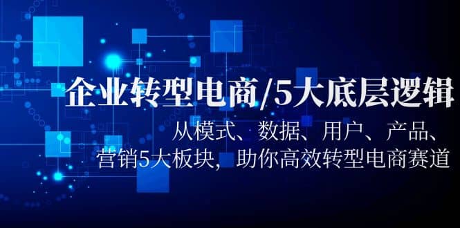 企业转型电商/5大底层逻辑，从模式 数据 用户 产品 营销5大板块，高效转型-云阁资源网