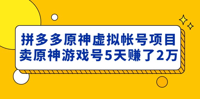 外面卖2980的拼多多原神虚拟帐号项目-云阁资源网