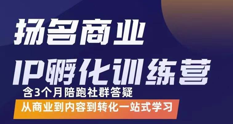 杨名商业IP孵化训练营，从商业到内容到转化一站式学 价值5980元-云阁资源网