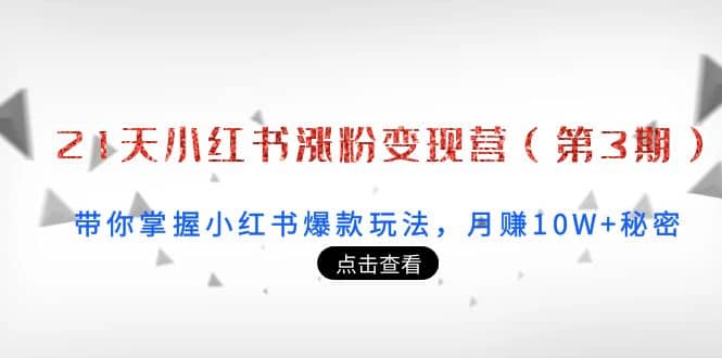 21天小红书涨粉变现营（第3期）：带你掌握小红书爆款玩法，月赚10W+秘密-云阁资源网