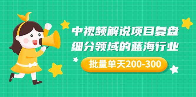 某付费文章：中视频解说项目复盘：细分领域的蓝海行业 批量单天200-300收益-云阁资源网