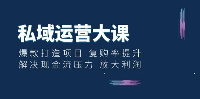 私域运营大课：爆款打造项目 复购率提升 解决现金流压力 放大利润-云阁资源网