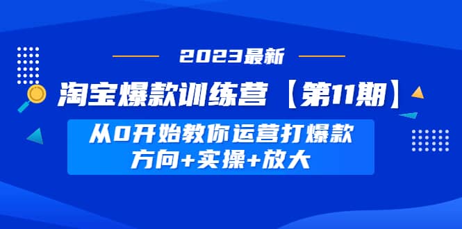 淘宝爆款训练营【第11期】 从0开始教你运营打爆款，方向+实操+放大-云阁资源网