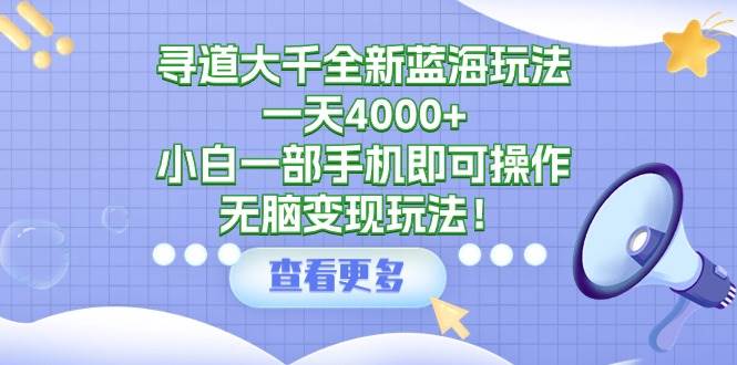 寻道大千全新蓝海玩法，一天4000+，小白一部手机即可操作，无脑变现玩法！-云阁资源网