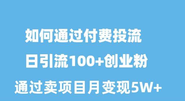 如何通过付费投流日引流100+创业粉月变现5W+-云阁资源网