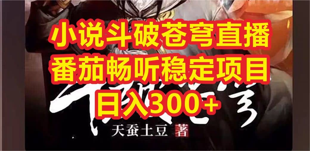 小说斗破苍穹直播，番茄畅听日入300+稳定项目-云阁资源网