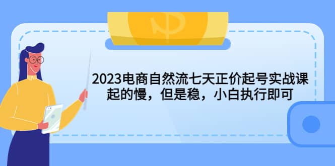 2023电商自然流七天正价起号实战课：起的慢，但是稳，小白执行即可-云阁资源网