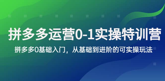 拼多多-运营0-1实操训练营，拼多多0基础入门，从基础到进阶的可实操玩法-云阁资源网