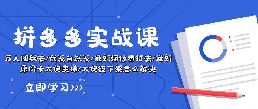 拼多多·实战课：万人团玩法/截流自然流/最新强付费打法/最新原价卡大促..-云阁资源网