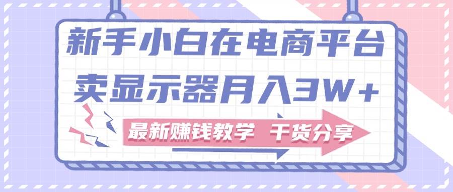 新手小白如何做到在电商平台卖显示器月入3W+，最新赚钱教学干货分享-云阁资源网