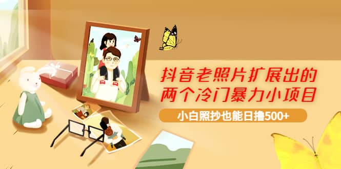 抖音老照片扩展出的两个冷门暴力小项目，小白照抄也能日撸500+-云阁资源网