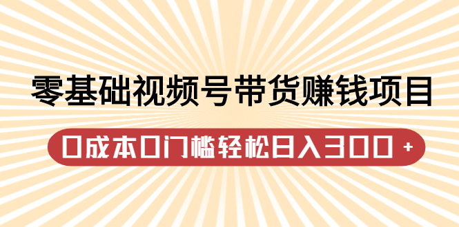 零基础视频号带货赚钱项目，0成本0门槛轻松日入300+【视频教程】-云阁资源网