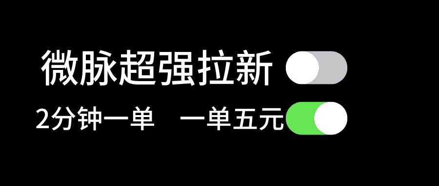 微脉超强拉新， 两分钟1单， 一单利润5块，适合小白-云阁资源网