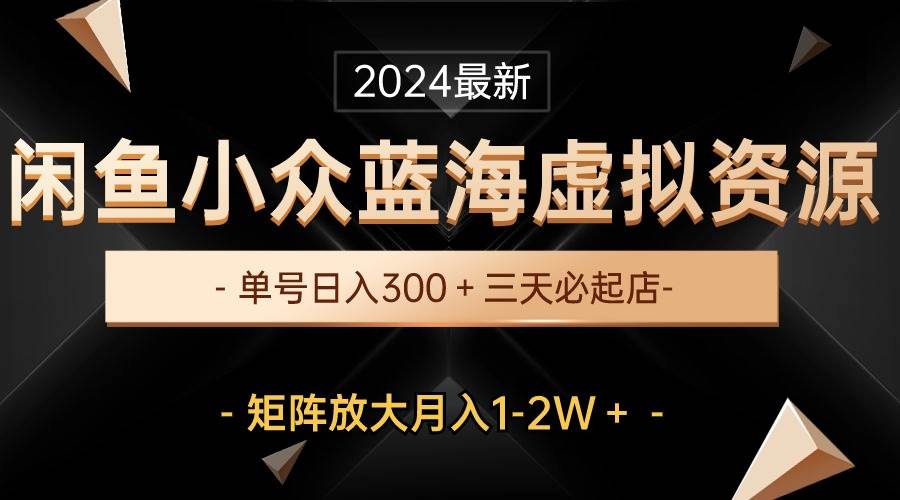 最新闲鱼小众蓝海虚拟资源，单号日入300＋，三天必起店，矩阵放大月入1-2W-云阁资源网