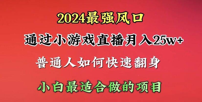 2024年最强风口，通过小游戏直播月入25w+单日收益5000+小白最适合做的项目-云阁资源网
