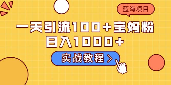 一天引流100+宝妈粉，日入1000+的蓝海项目（实战教程）-云阁资源网