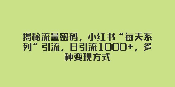 揭秘流量密码，小红书“每天系列”引流，日引流1000+，多种变现方式-云阁资源网