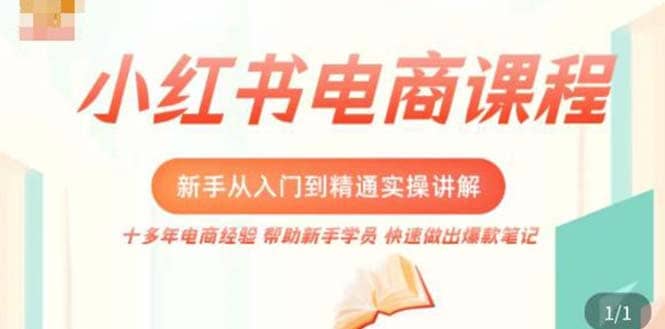小红书电商新手入门到精通实操课，从入门到精通做爆款笔记，开店运营-云阁资源网