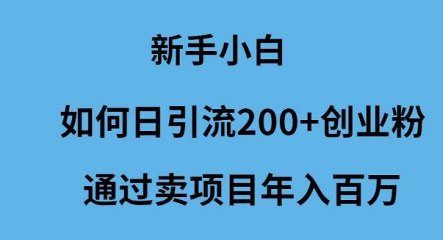 新手小白如何日引流200+创业粉通过卖项目年入百万-云阁资源网