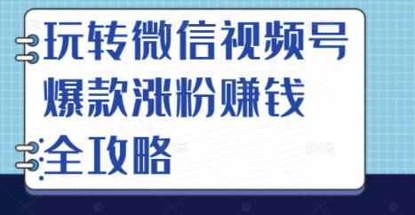 玩转微信视频号爆款涨粉赚钱全攻略，让你快速抓住流量风口，收获红利财富-云阁资源网