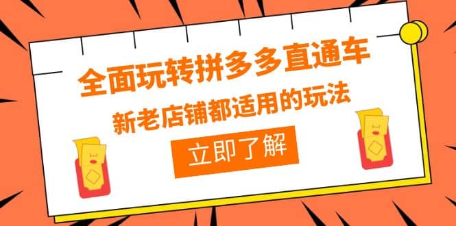 全面玩转拼多多直通车，新老店铺都适用的玩法（12节精华课）-云阁资源网