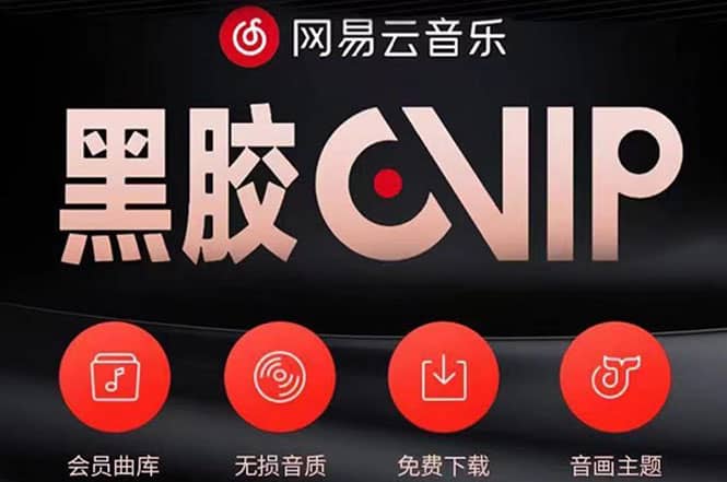 网易云撸黑胶年卡及变现方法，收益可无限放大-云阁资源网