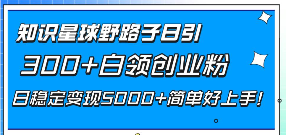 知识星球野路子日引300+白领创业粉，日稳定变现5000+简单好上手！-云阁资源网