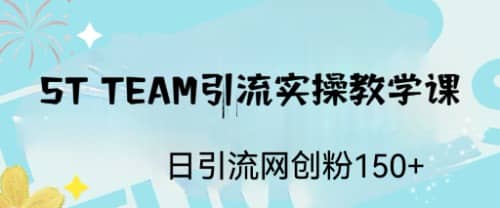 ST TEAM引流实操课，日引流网创粉100+-云阁资源网