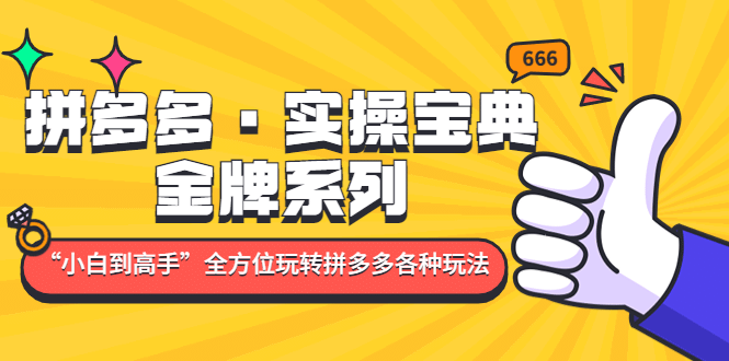 拼多多·实操宝典：金牌系列“小白到高手”带你全方位玩转拼多多各种玩法-云阁资源网