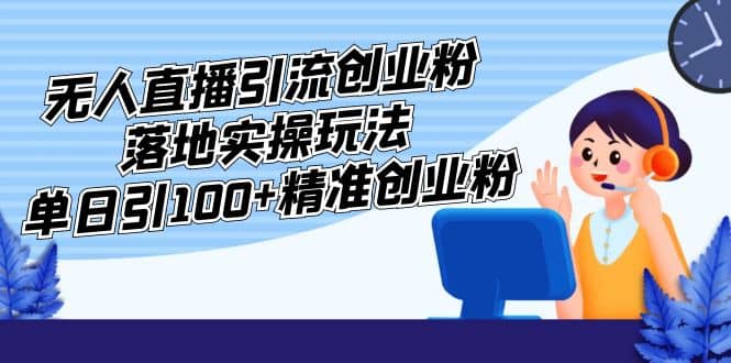 外面收费3980的无人直播引流创业粉落地实操玩法，单日引100+精准创业粉-云阁资源网