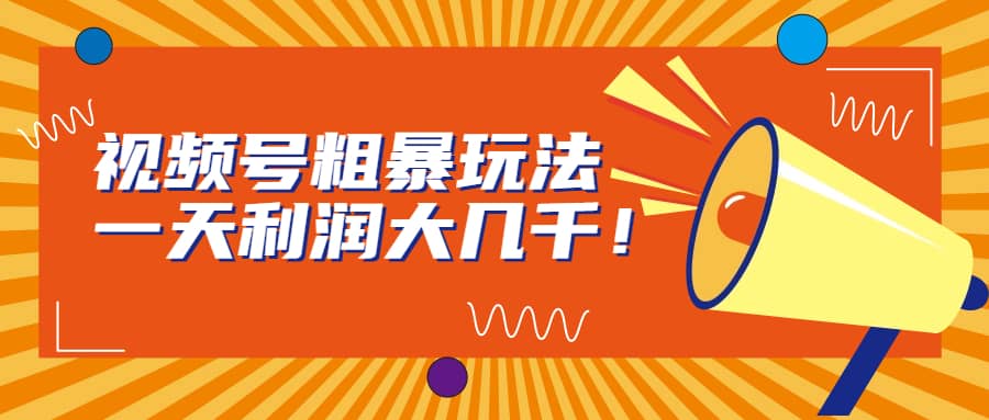 视频号粗暴玩法，一天利润大几千-云阁资源网