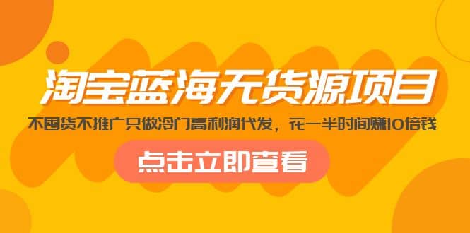 淘宝蓝海无货源项目，不囤货不推广只做冷门高利润代发-云阁资源网