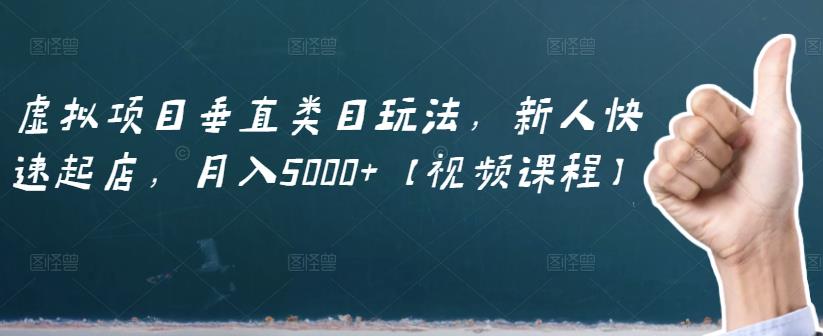 虚拟项目垂直类目玩法，新人快速起店，月入5000+【视频课程】-云阁资源网