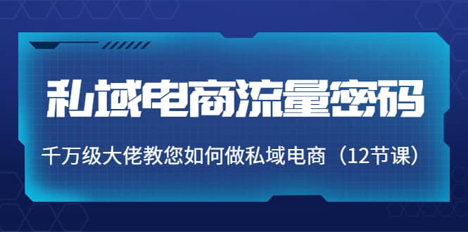 私域电商流量密码：千万级大佬教您如何做私域电商（12节课）-云阁资源网
