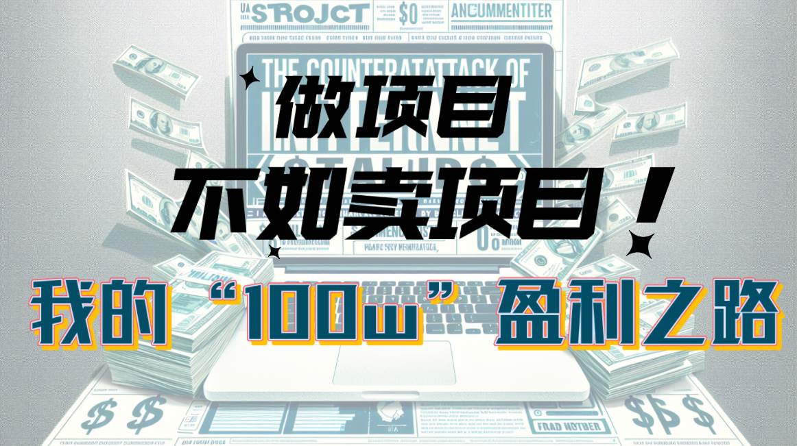 为什么做项目不如卖项目？我的100W+盈利之路-云阁资源网