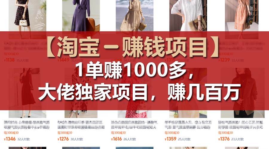 【淘宝赚钱项目】1单可赚1000多，大佬独家项目，年赚几百万-云阁资源网