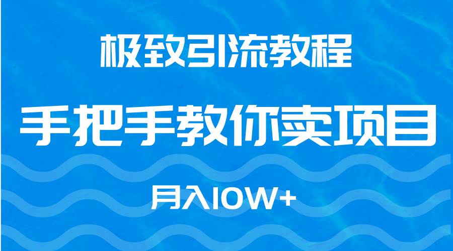 极致引流教程，手把手教你卖项目，月入10W+-云阁资源网